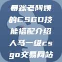 暴躁老阿姨的CSGO技能搭配介绍人马一级csgo交易网站  第1张