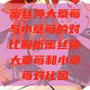 蜜丝婷大草莓与小草莓的对比解析蜜丝婷大草莓和小草莓对比图  第1张