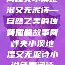 两峰夹小溪地湿又无泥诗—自然之美的独特体验
背后的故事两峰夹小溪地湿又无泥诗小说免费阅读  第1张