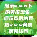 探索w.w.w下的黄皮现象，揭示背后的真相w.w.w黄皮磨菇招商  第1张