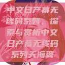 中文日产幕无线码系列，探索与赏析中文日产幕无线码系列天海翼  第1张