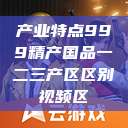 产业特点999精产国品一二三产区区别视频区  第1张