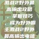 激战2野外最高输出攻略，掌握技巧，成为野外霸主激战2野外最高输出电信  第1张