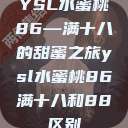 YSL水蜜桃86—满十八的甜蜜之旅ysl水蜜桃86满十八和88区别  第1张