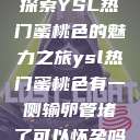 探索YSL热门蜜桃色的魅力之旅ysl热门蜜桃色有一侧输卵管堵了可以怀孕吗 第1张 探索YSL热门蜜桃色的魅力之旅ysl热门蜜桃色有一侧输卵管堵了可以怀孕吗 第1张