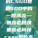 暴躁老阿姨的CSGO世界
CSGO中的一股清流—暴躁老阿姨暴躁老阿姨csgo图片高清在线观看  第1张