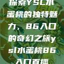 探索YSL水蜜桃的独特魅力，86入口的奇幻之旅ysl水蜜桃86入口直播  第1张