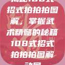 揭秘108式招式拍拍拍图解，掌握武术精髓的秘籍108式招式拍拍拍图解动图  第1张