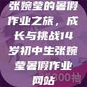 张婉莹的暑假作业之旅，成长与挑战14岁初中生张婉莹暑假作业网站  第1张
