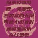 探索哔哩哔哩，免费观看内容的无限可能小少女哔哩哔哩高清在线观看  第1张