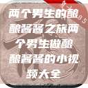 两个男生的酿酿酱酱之旅两个男生做酿酿酱酱的小视频大全  第1张