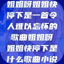 姐姐呀姐姐快停下是一首令人难以忘怀的歌曲姐姐呀姐姐快停下是什么歌曲小说  第1张