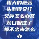 粗大的蘑菇头刮得又红又肿怎么办宫颈口吸住了拔不出来怎么办 第1张 粗大的蘑菇头刮得又红又肿怎么办宫颈口吸住了拔不出来怎么办 第1张