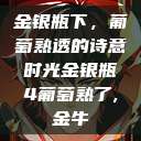 金银瓶下，葡萄熟透的诗意时光金银瓶4葡萄熟了,金牛  第1张