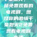 干柴烈火，一部免费观看的电视剧，燃烧你的激情干柴烈火2免费观看电视剧高清  第1张