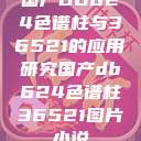 国产DB624色谱柱与36521的应用研究国产db624色谱柱36521图片小说  第1张