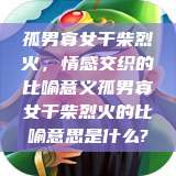 孤男寡女干柴烈火，情感交织的比喻意义孤男寡女干柴烈火的比喻意思是什么?  第1张
