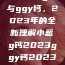探索小蓝g钙与ggy钙，2023年的全新理解小蓝g钙2023ggy钙2023的功能介绍  第1张