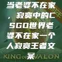 当老婆不在家，寂寞中的CSGO世界老婆不在家一个人寂寞王者文案  第1张