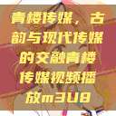 青楼传媒，古韵与现代传媒的交融青楼传媒视频播放m3U8  第1张