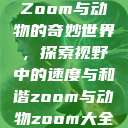 Zoom与动物的奇妙世界，探索视野中的速度与和谐zoom与动物zoom大全  第1张