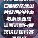 西施流眼泪翻白眼咬铁球图片背后的故事与解读西施流眼泪翻白眼咬铁球图片高清壁纸  第1张