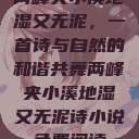 两峰夹小溪地湿又无泥，一首诗与自然的和谐共舞两峰夹小溪地湿又无泥诗小说免费阅读  第1张
