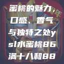 探索YSL水蜜桃的魅力，口感、香气与独特之处ysl水蜜桃86满十八和88区别  第1张