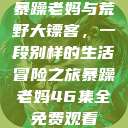 暴躁老妈与荒野大镖客，一段别样的生活冒险之旅暴躁老妈46集全免费观看  第1张
