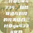 三叶草GW4334，自然奇迹与科技的完美结合三叶草gw4334官网  第1张