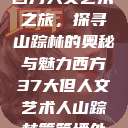 西方人文艺术之旅，探寻山踪林的奥秘与魅力西方37大但人文艺术人山踪林篱笆墙外  第1张