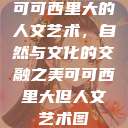 可可西里大的人文艺术，自然与文化的交融之美可可西里大但人文艺术图  第1张