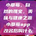小草莓,自然的瑰宝,美味与健康之源小草莓app改名后叫什么 第1张 小草莓,自然的瑰宝,美味与健康之源小草莓app改名后叫什么 第1张