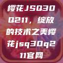 樱花JSQ30Q211，绽放的技术之美樱花jsq30q211官网  第1张