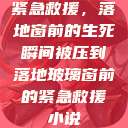 紧急救援，落地窗前的生死瞬间被压到落地玻璃窗前的紧急救援小说  第1张