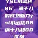 YSL水蜜桃86，满十八的成熟魅力ysl水蜜桃86满十八和88区别  第1张