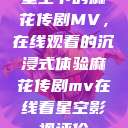 星空下的麻花传剧MV，在线观看的沉浸式体验麻花传剧mv在线看星空影视评价  第1张