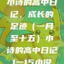 小诗的高中日记，成长的足迹（一月至十五）小诗的高中日记1一15小说  第1张