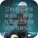 三叶草GW5856，探索与发现三叶草GW5856  第1张