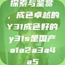 探索与鉴赏，成色卓越的Y31成色好的y31s是国产a1a2a3a4a5  第1张