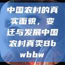 中国农村的真实面貌，变迁与发展中国农村真卖Bbwbbw  第1张