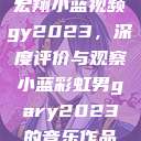 宏翔小蓝视频gy2023，深度评价与观察小蓝彩虹男gary2023的音乐作品  第1张