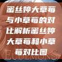 蜜丝婷大草莓与小草莓的对比解析蜜丝婷大草莓和小草莓对比图  第1张