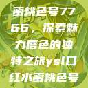 YSL口红水蜜桃色号7766，探索魅力唇色的独特之旅ysl口红水蜜桃色号7766在线  第1张