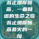 翁止熄痒婉燕，一曲和谐的生命之歌翁止熄痒婉燕最火的一句  第1张