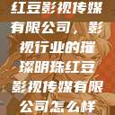 红豆影视传媒有限公司，影视行业的璀璨明珠红豆影视传媒有限公司怎么样  第1张