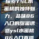 探索YSL水蜜桃的独特魅力，品味86入口的甜蜜诱惑ysl水蜜桃86入口直播  第1张