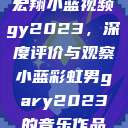 宏翔小蓝视频gy2023，深度评价与观察小蓝彩虹男gary2023的音乐作品  第1张