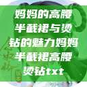 妈妈的高腰半截裙与烫钻的魅力妈妈半截裙高腰烫钻txt  第1张