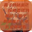 麦子的秘密2，探索麦田的奥秘《麦子的秘密2》电影免费观看  第1张